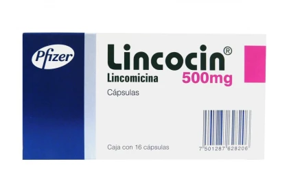 LINCOCIN LINCOMYCIN 500MG 16CAPS | BUY LINCOCIN LINCOMYCIN 500MG 16CAPS ONLINE | WHERE TO BUY LINCOCIN LINCOMYCIN 500MG 16CAPS ONLINE